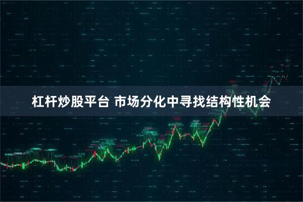 杠杆炒股平台 市场分化中寻找结构性机会