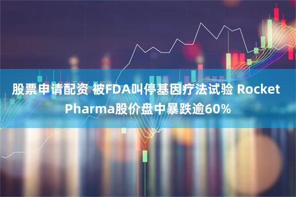 股票申请配资 被FDA叫停基因疗法试验 Rocket Pharma股价盘中暴跌逾60%