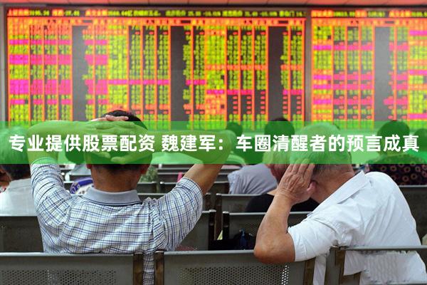 专业提供股票配资 魏建军：车圈清醒者的预言成真